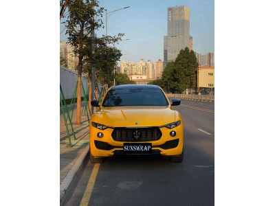 HD Crystal Sunflower Yellow