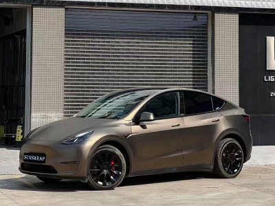 HD Super Matte Metallic Coffee Brown...
