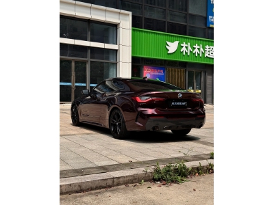 HD Super Gloss Metallic Black Rose