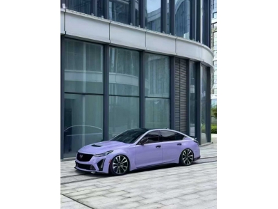 Lavender Purple PPF
