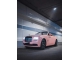 HD Late Cherry Pink