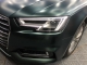 HD Electro Metallic Dark Green