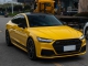 HD Sunflower Yellow