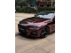 HD Super Gloss Metallic Black Rose