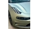 Ultra Matte Gray Green PPF