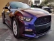 HD Thunder Flash Chameleon