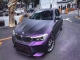 HD Pinot Noir Purple
