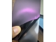 HD Pinot Noir Purple
